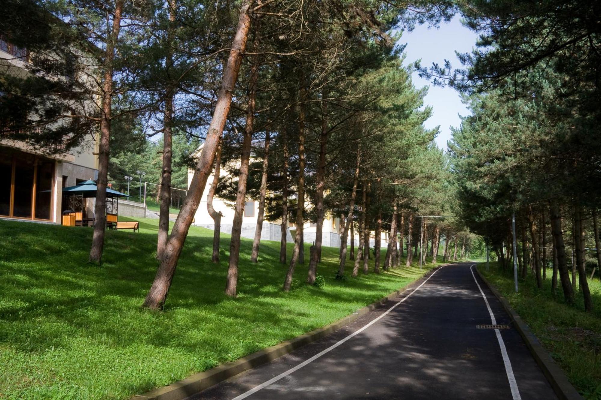 Hotel Dilijan Resort エクステリア 写真